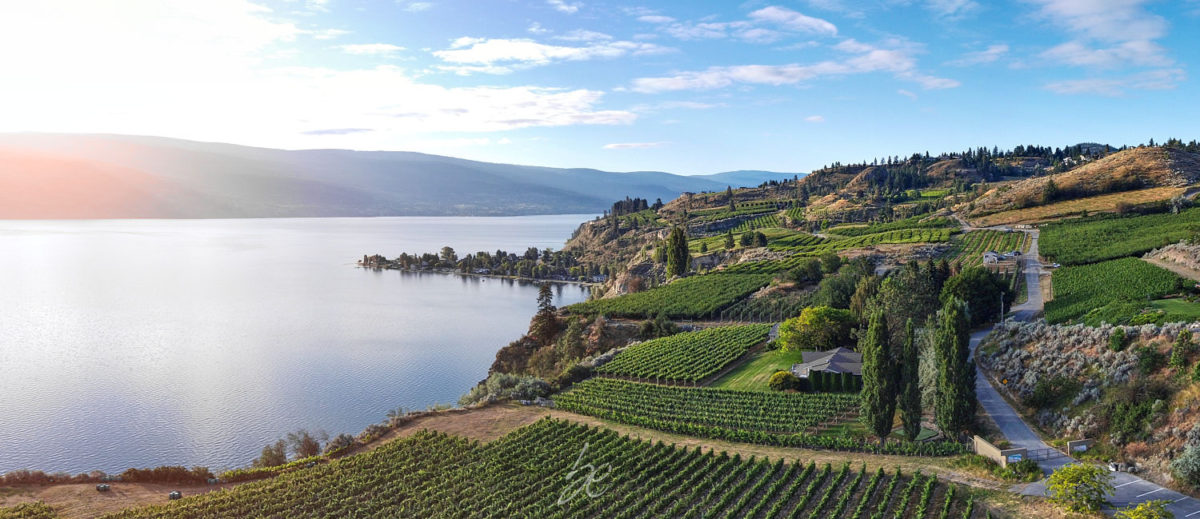 Sunrise over OAK estate winery by kelowna photographer of wineries