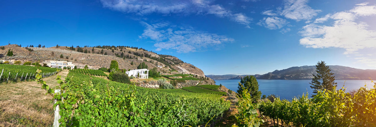 Kelowna Photographer captures stunning OAK winery