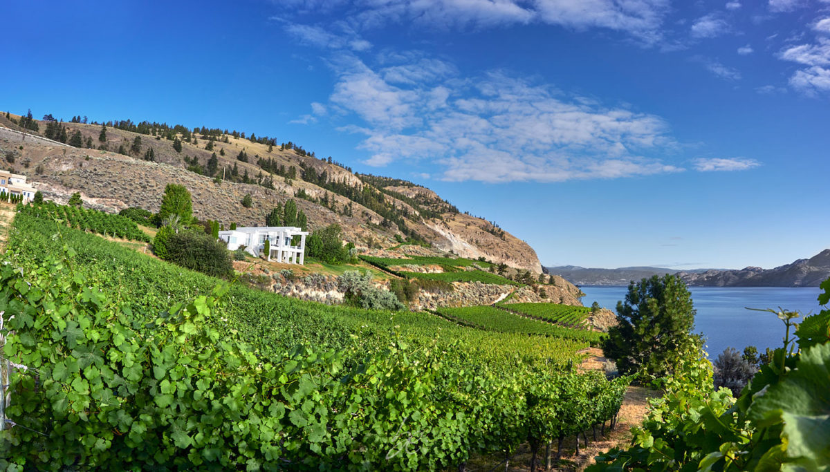 oak winery by kelowna photographer of wineries